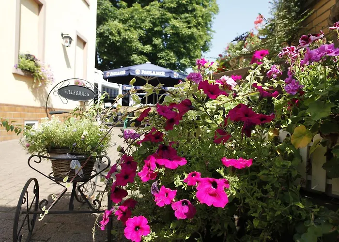 Hotel Zur Waldlust Frankfurt nad Menem